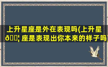 上升星座是外在表现吗(上升星 🐦 座是表现出你本来的样子吗)
